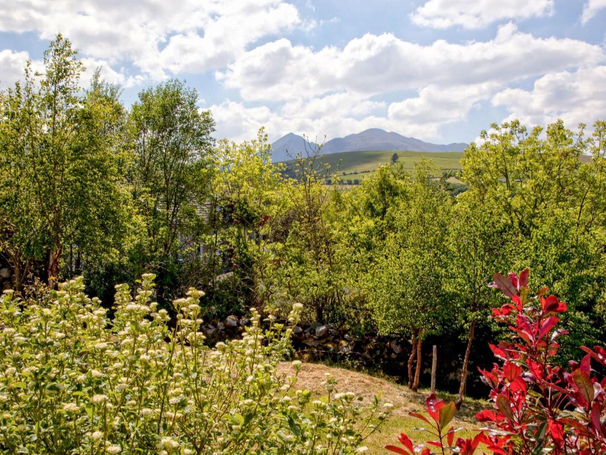 Silver Birch House Laune Bridge Экстерьер фото